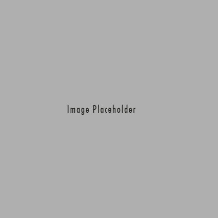 PlaceHolder_425